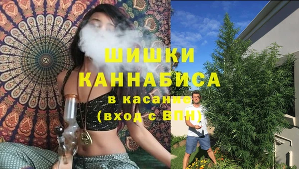 spice Краснослободск