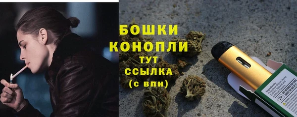 spice Краснослободск