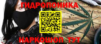 хмурый Аргун