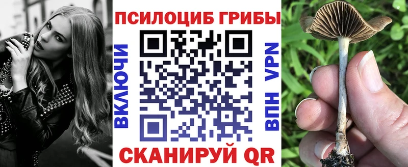Галлюциногенные грибы MAGIC MUSHROOMS  где купить наркоту  Белово 